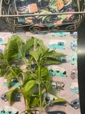 Bees & Flowers Unpaper Towels