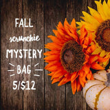 Fall Scrunchie Mystery Bag, 5 Scrunchies